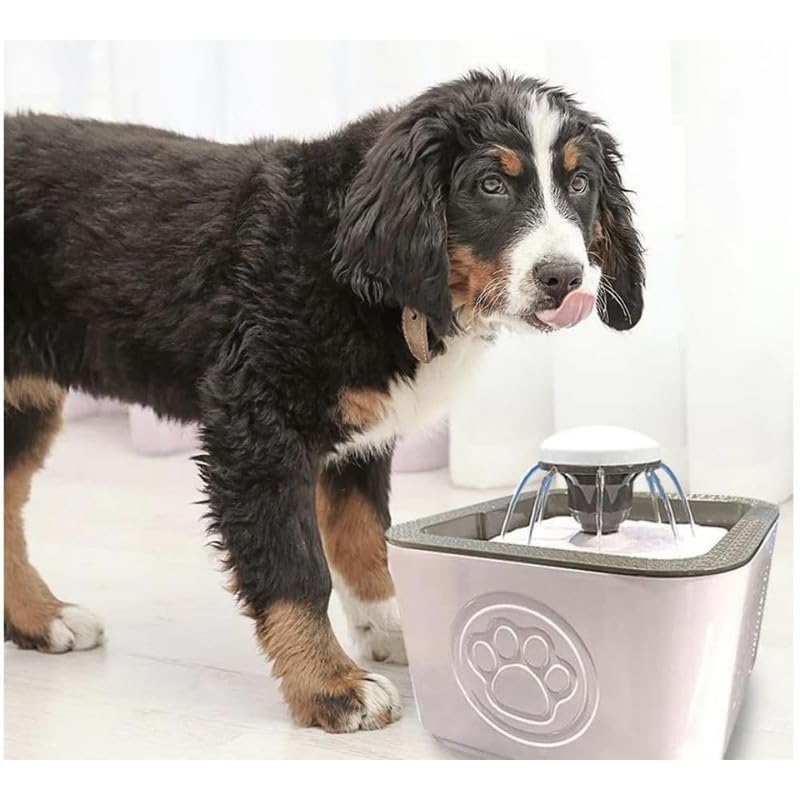 Fantana de apa pentru animale de companie, 2,5 litri, distribuitor de apa, pentru pisici si caini mici.