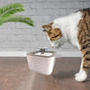 Fantana de apa pentru animale de companie, 2,5 litri, distribuitor de apa, pentru pisici si caini mici.