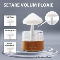 Umidificator in forma de norisor, picaturi de ploaie, lemn / plastic - imagine 12