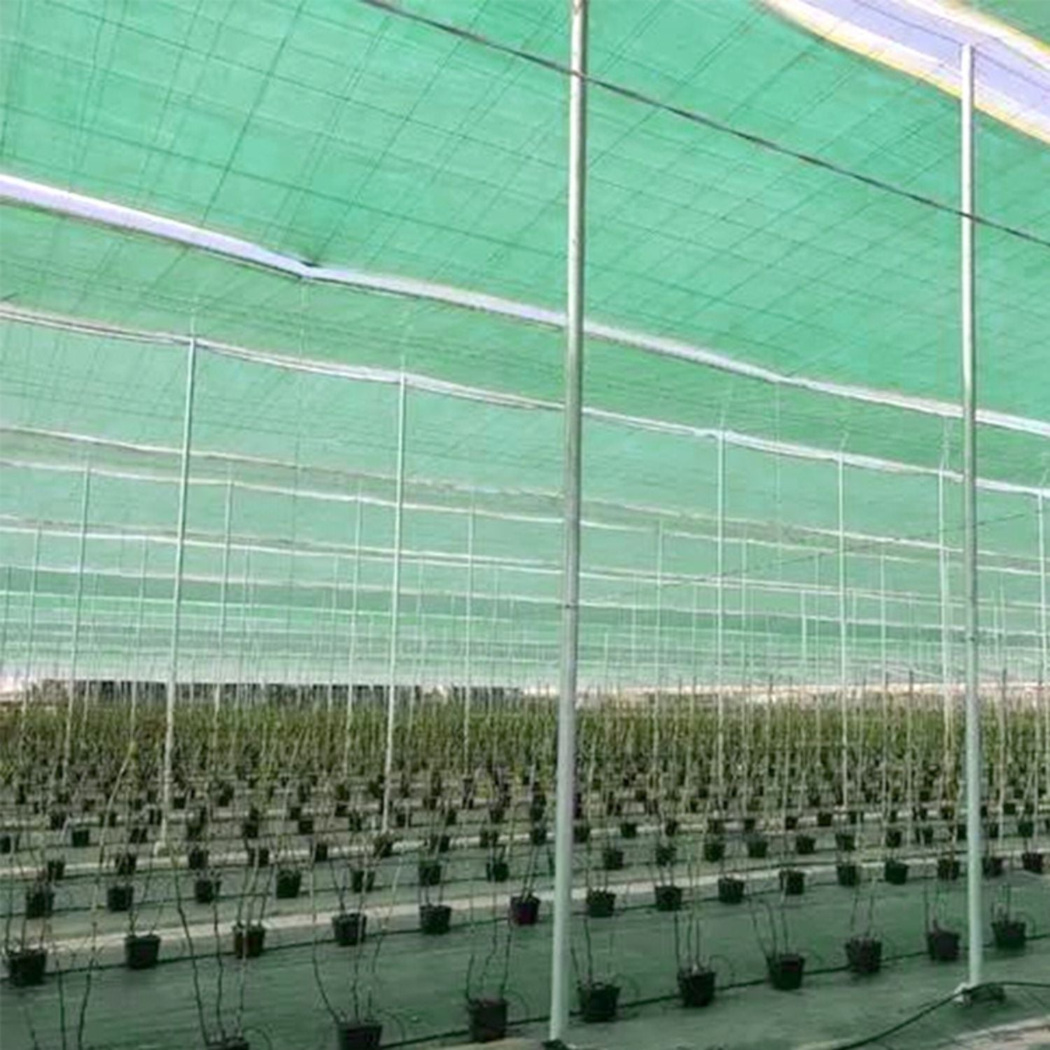 Plasa protectie solara si rezistenta la caldura pentru acvacultura, 8 ace, 80g, 2×25m sau 2×50m, verde/negru