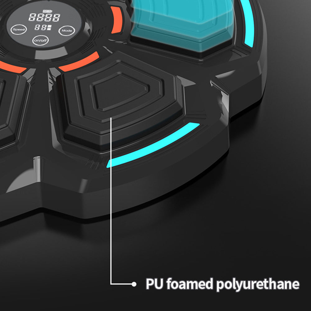 Aparat inteligent de box cu lumini RGB, muzica si afisaj LED – antrenament interactiv pentru acasa
