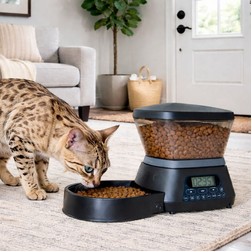 Dozator automat hrana pentru caini si pisici Gamma2 Nano programabil, 5,5L