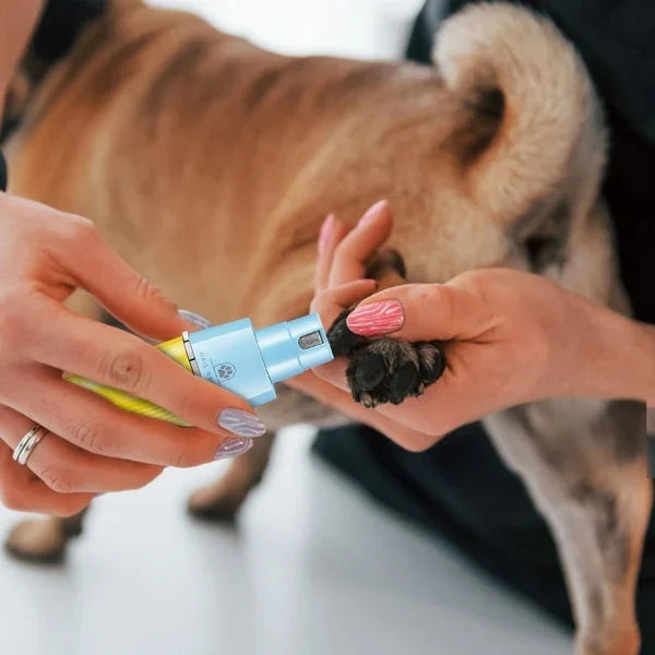 Masina de tuns cu acumulator 3 în 1 VGR V-219 pentru animale de companie