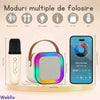Boxa portabila Karaoke pentru copii, cu microfon wireless, conexiune Bluetooth, cu jocuri de lumini RGB