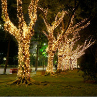 Instalatie de Craciun cu telecomanda, tip liniara, pentru exterior, 500 led-uri, 50m, diverse culori, IP44 - imagine 11