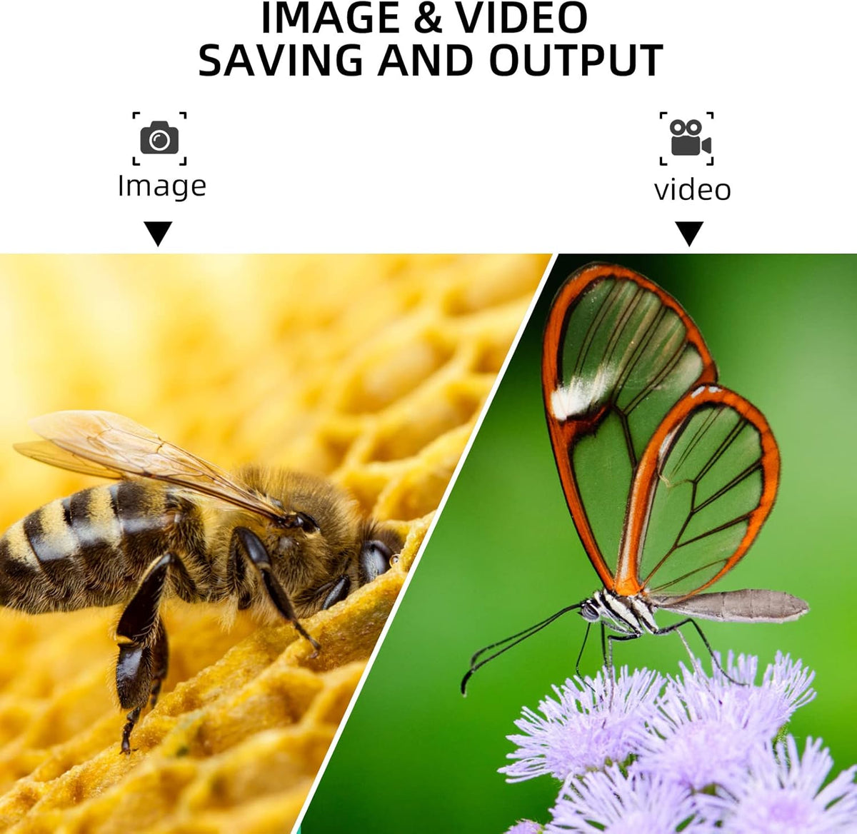 Microscop digital LCD 4.3” HD, 8MP, zoom 1-1000X, 8 LED-uri, baterie reincarcabila si suport PC