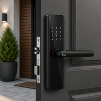 Cerradura Security Intelligent Incuietoare Inteligenta Usa Biometrica Amprenta Digitala Parola - detaliu produs