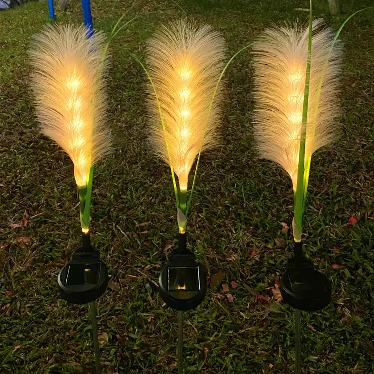 Set 2 lampi solare tip stuf de pampas pentru gradina