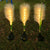 Set 2 lampi solare tip stuf de pampas pentru gradina
