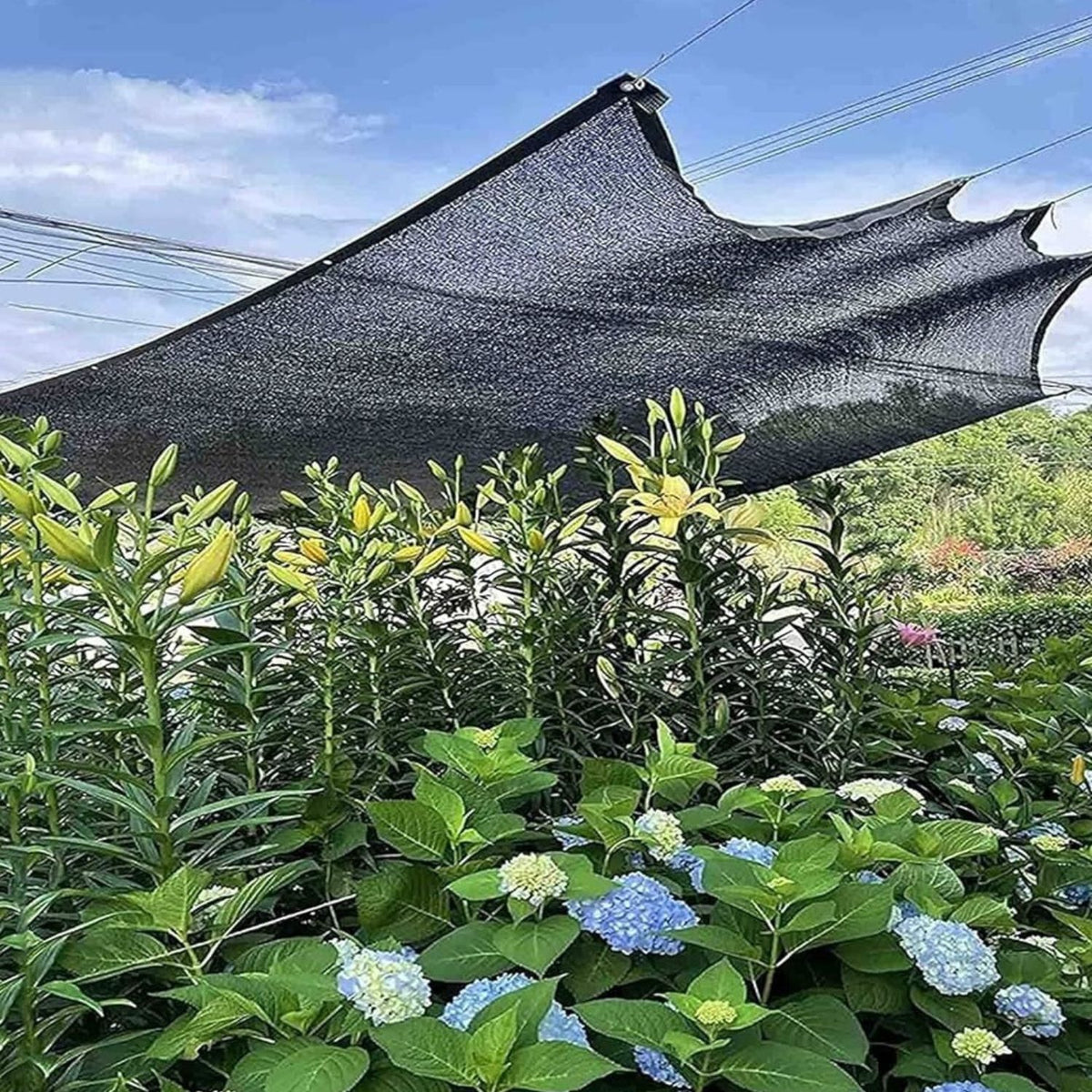 Plasa protectie solara rezistenta la caldura pentru acvacultura, neagra, 4 ace, 50g, 2×25m sau 2×50m