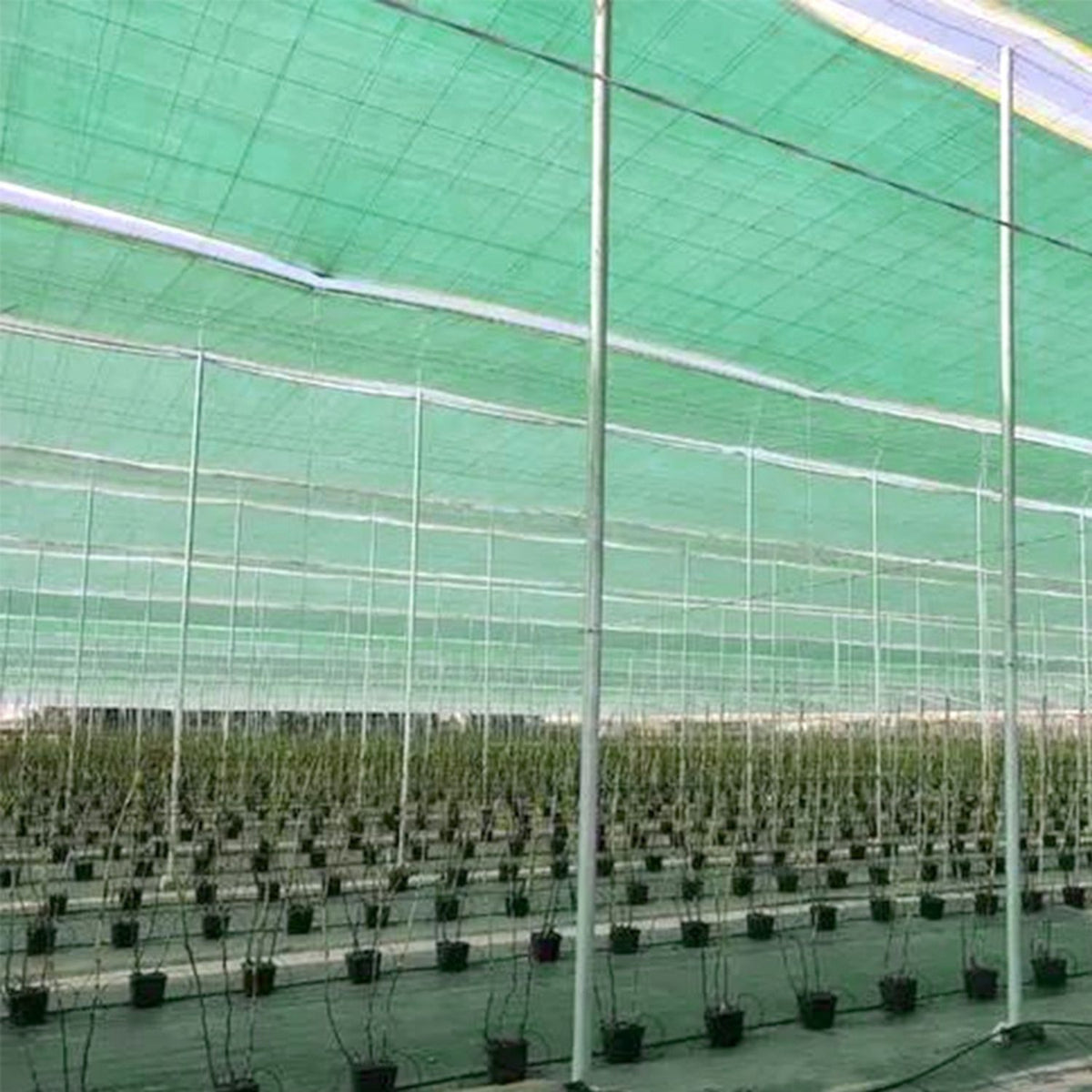 Plasa protectie solara si rezistenta la caldura pentru acvacultura, 8 ace, 80g, 2×25m sau 2×50m, verde/negru