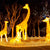 Gard decorativ cu leduri alb cald sau multicolor, 3 metri, 8 moduri de iluminare, 220W, pentru interior sau exterior