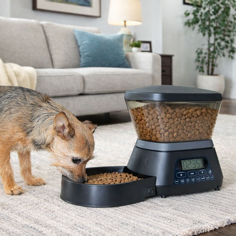 Dozator automat hrana pentru caini si pisici Gamma2 Nano programabil, 5,5L