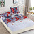 Husa de Pat cu Elastic din Bumbac Finet + 2 Fete de Perna, Pat 2 Persoane – Christmas Collections 180 x 200 cm