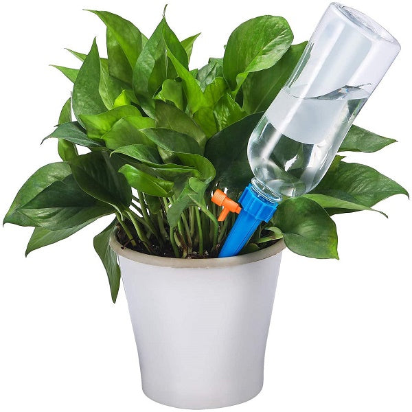 Set picuratoare pentru ghiveci, 10 buc