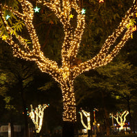 Instalatie de Craciun cu telecomanda, tip liniara, pentru exterior, 500 led-uri, 50m, diverse culori, IP44 - imagine 10