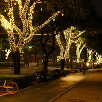 Instalatie de Craciun cu telecomanda, tip liniara, pentru exterior, 500 led-uri, 50m, diverse culori, IP44 - imagine 7