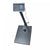 Cantar cu platforma, brat rabatabil, display LCD, 350 Kg