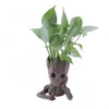 Suport figurina Grooty ganditor, ghiveci plante